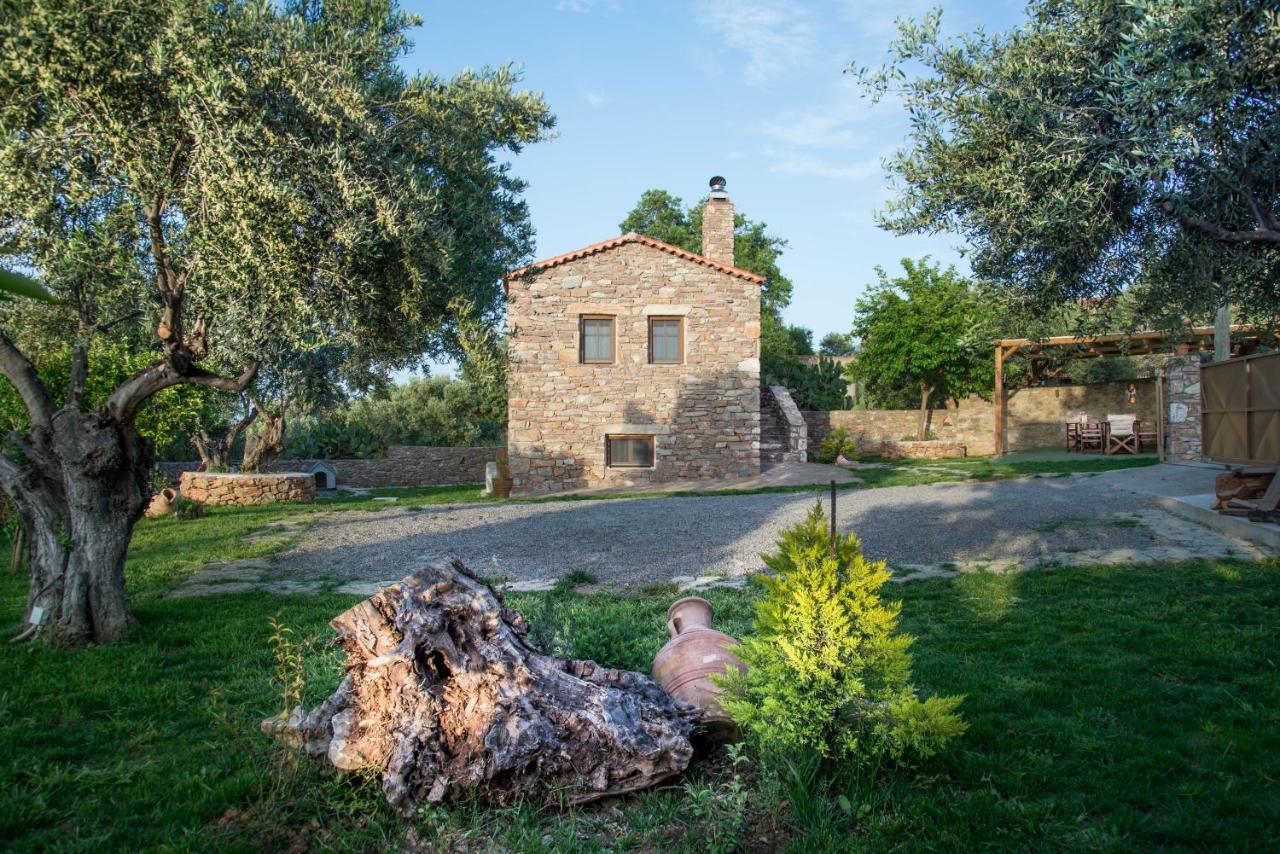 Karyoupolis Lounge Cave House Villa *